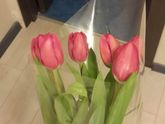 С нашим днем девочки🌷😘