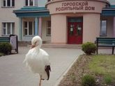 Доброй ночи