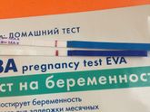 9-й день задержки