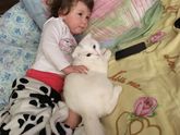 Кошатницы,подскажите)))