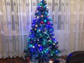 Новый год
