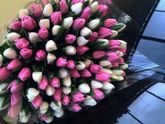 С праздником, девчули🌸💕💐💖