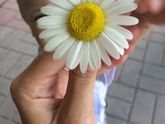 Он носит мне цветочки