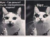 ))