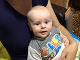Мой гигантус