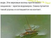Доброе бессонное утро красавицы!?!?!
