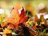 Здравствуй 🍂 осень!