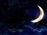 Есть у меня одна нехорошая черта характера