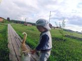Сегодня нам 1️⃣ год ?