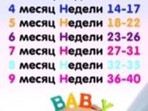 19 недель это сколько месяцев?