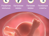 Девчат, подскажите