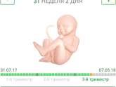 31 неделя 2 дня ?