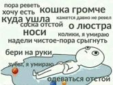 Я орууууу!!!😂😂😂