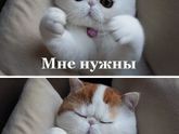 Когда печалька 😢