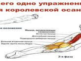 Осанка