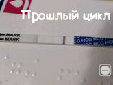 Тесты-врунишки!!!