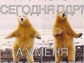 День ПДР?