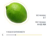 10 недель