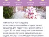 Вот что нашла.