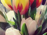 С 8 марта девчата 💐