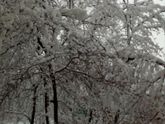 Зима ❄⛄
