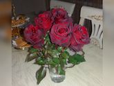 Мои любимые🌹