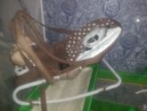 Девочки продаю детский шезлонг