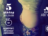 5 недель