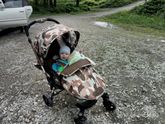 Выбор прогулки🤔