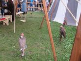 Фестиваль "Времена и эпохи. Собрание". Ч.5.