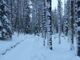 День седьмой. Эпилог. ❄❄❄