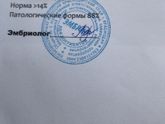 Девочки,посмотрите,пожалуйста???