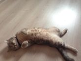 Ну кто тут такой