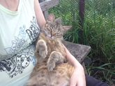 Приехала в деревню, и