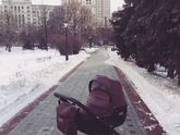 Коляска anex