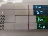 Задержка уже 3 дня, 34 дц из 31.