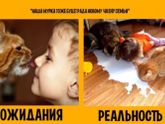 Ожидания и реальность