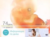 Самое лучшее приложение из всех