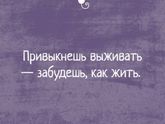 Мои новости