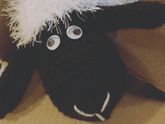 Милота
