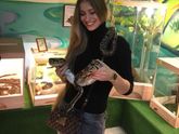 Прошли четыре длинных выходных...ооооо