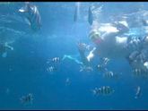 Наш отдых 🐠🌸