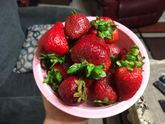 🍓и ностальгия