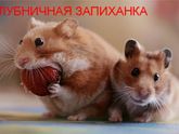 Позитива вам!