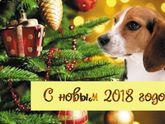 С наступающим девочки новым 2018 годом!