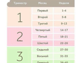 Пузику 6 месяцев