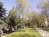 Нам 32недельки