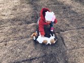 Человек собаке друг ?☺️