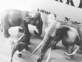 реалистичные фигурки schleich