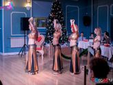 Новогоднее выступление